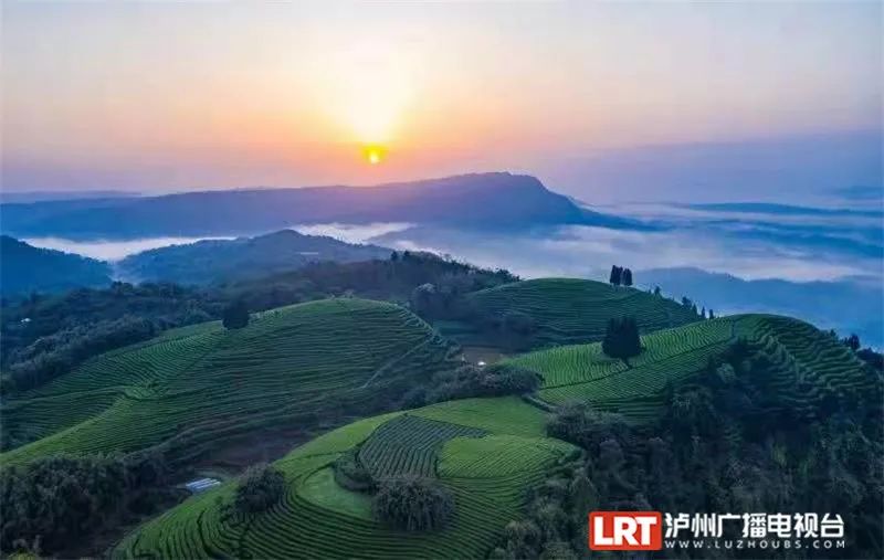 美出圈！《人民日报》两次聚焦泸州春景，打包给你~-8.jpg