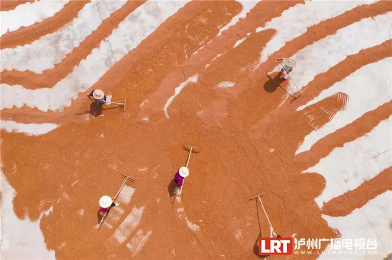 美出圈！《人民日报》两次聚焦泸州春景，打包给你~-7.jpg