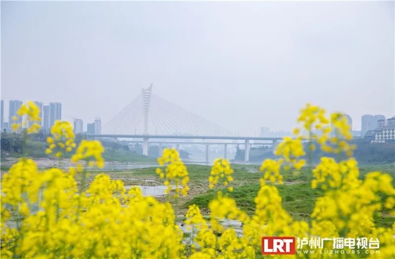 美出圈！《人民日报》两次聚焦泸州春景，打包给你~-13.jpg