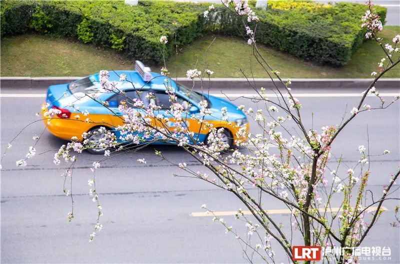 美出圈！《人民日报》两次聚焦泸州春景，打包给你~-20.jpg