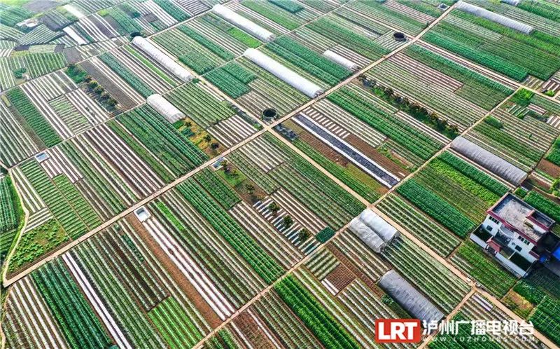 美出圈！《人民日报》两次聚焦泸州春景，打包给你~-29.jpg