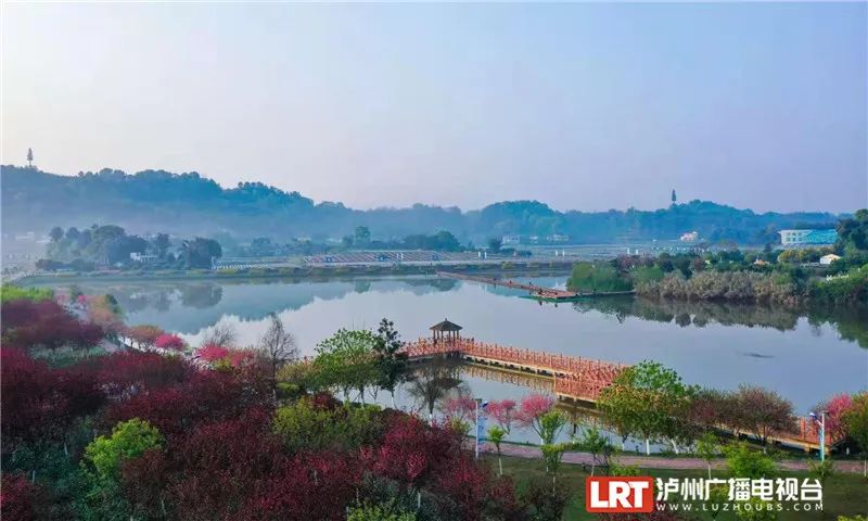 美出圈！《人民日报》两次聚焦泸州春景，打包给你~-31.jpg
