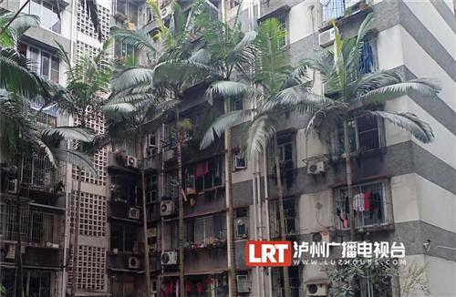泸州大山坪4个老旧小区换脸了！来看前后对比→-1.jpg