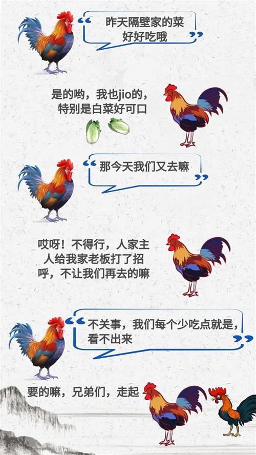 当赔不当赔？泸州一农户自家田地里放毒，别家21只鸡被“团灭”！-1.jpg