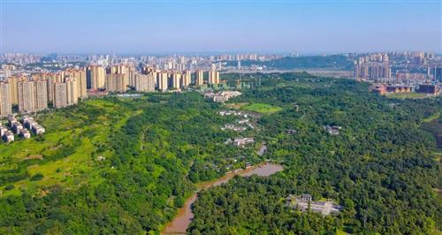 30℃+！泸州即将开启“连晴模式”-2.jpg