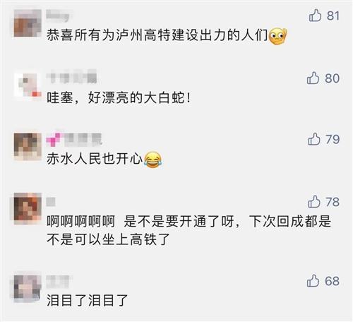 决定性程序丨“全面体检”过关！绵泸高铁内自泸段静态验收通过-12.jpg
