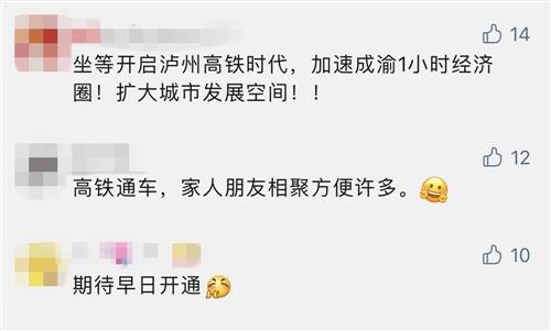 决定性程序丨“全面体检”过关！绵泸高铁内自泸段静态验收通过-14.jpg