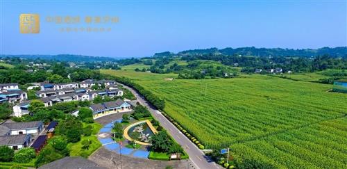 泸州47个交通项目集中开工！涉及五个区县，重点解决农村公路问题-1.jpg