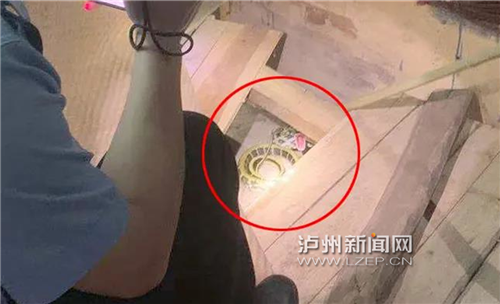 “吓死了，一晚上没睡！”泸州一村民家中来了“不速之客”，结果竟是……-4.jpg