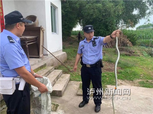 “吓死了，一晚上没睡！”泸州一村民家中来了“不速之客”，结果竟是……-6.jpg
