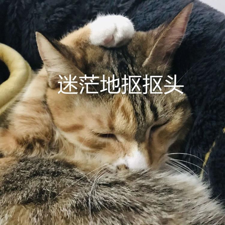 放假通知！泸州人，来看看你今年还有多少天假期-1.jpg