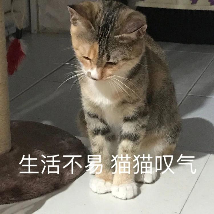 放假通知！泸州人，来看看你今年还有多少天假期-7.jpg