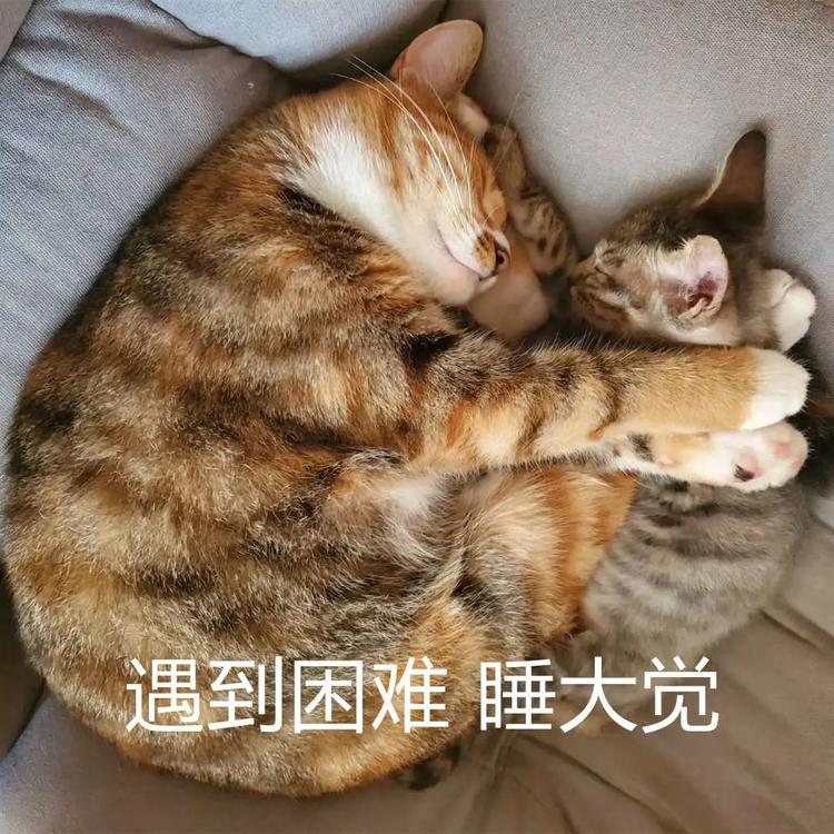 放假通知！泸州人，来看看你今年还有多少天假期-10.jpg