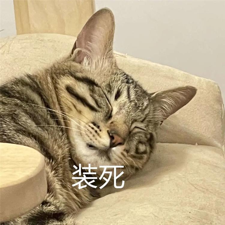 放假通知！泸州人，来看看你今年还有多少天假期-6.jpg