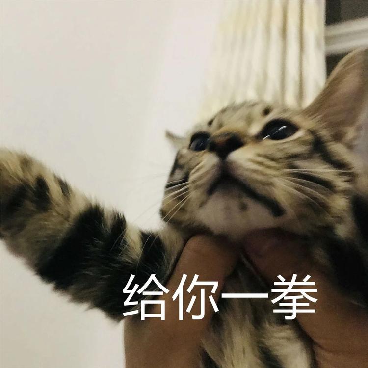 放假通知！泸州人，来看看你今年还有多少天假期-14.jpg