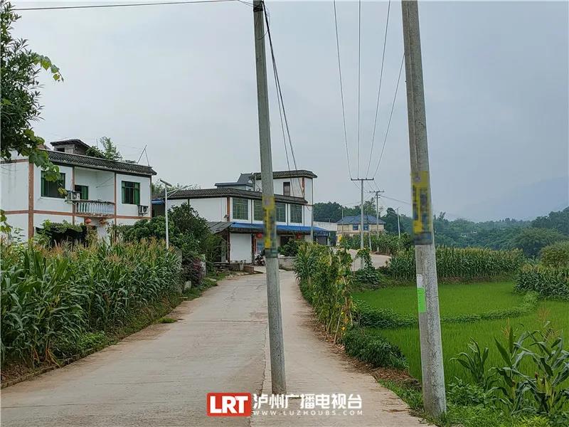 泸州这个村，6根电杆“杵”在路中间-1.jpg