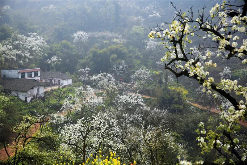 到处都是自拍点，泸州近郊这个村子藏不住了~-3.jpg