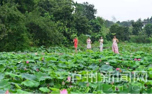 省级乡村旅游重点镇（乡）、村建议名单公示 泸州6个村入选-4.png