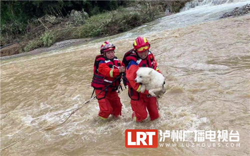 古蔺暴雨丨忙碌18小时后，他们终于吃上了第一口热饭-9.jpg