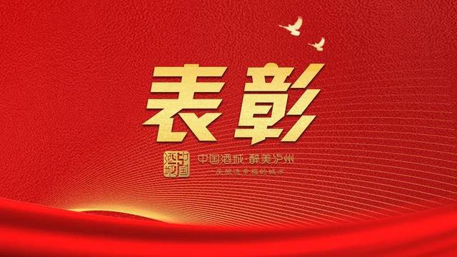 项目攻坚、招商引资先进丨泸州这些集体和个人受表彰-1.jpg
