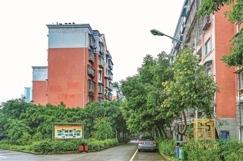 明年，江阳区预计改造47个老旧小区-2.jpg