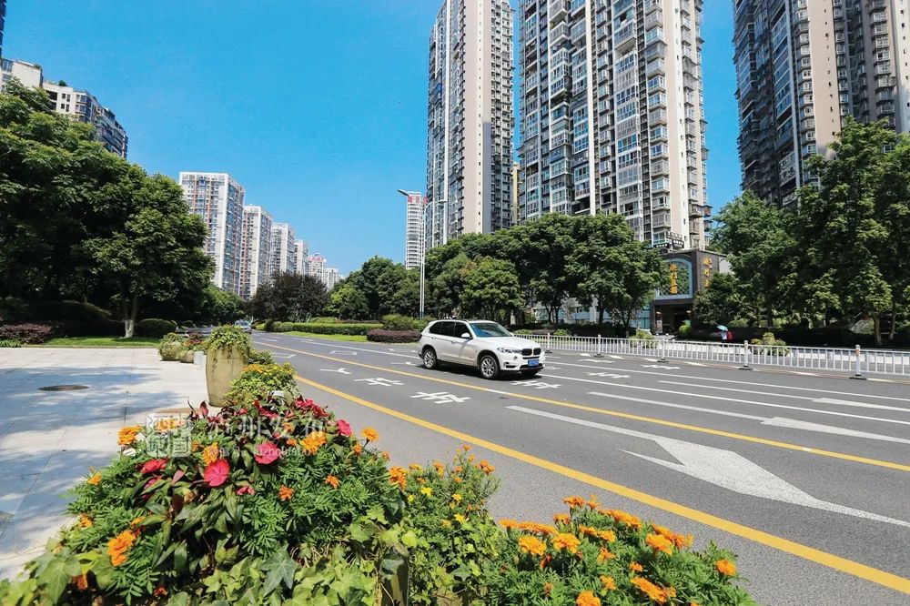 国家卫生城市复审，泸州顺利通过暗访！-1.jpg