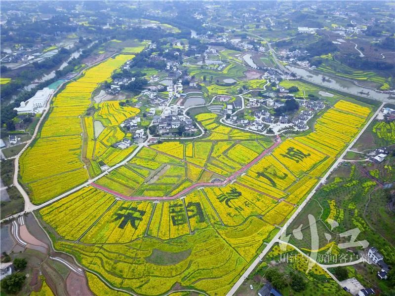 泸州这3个村入选全国乡村治理示范村镇！-2.jpg