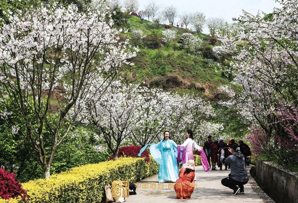 砥砺奋进的五年丨泸州：美丽城乡，宜居宜业-4.jpg