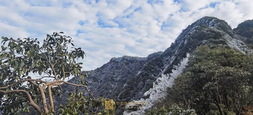 晶莹剔透！泸州出现雾凇美景，一波靓图来霸屏丨网友：这是魔法森林？-14.jpg