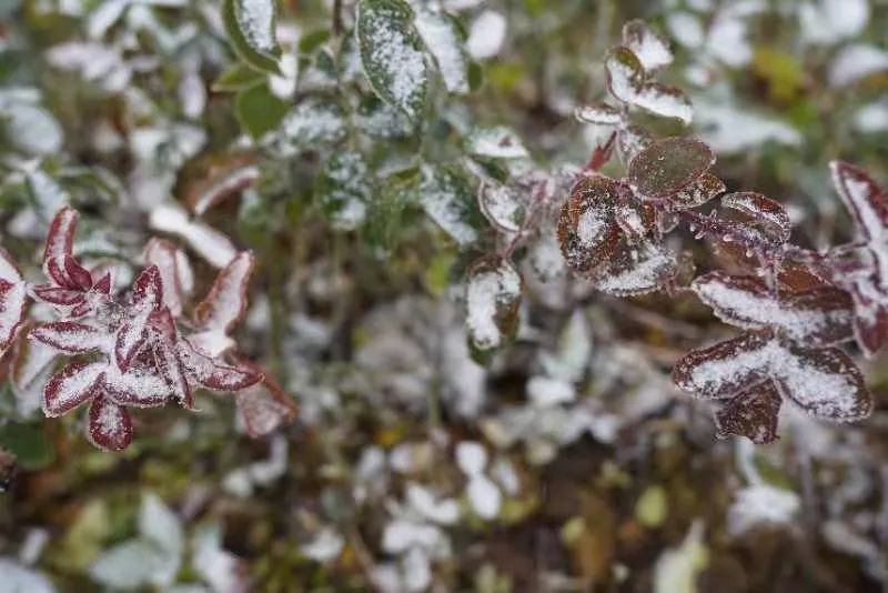 一夜速冻，已经冷麻，泸州这些地方都下雪了-4.jpg