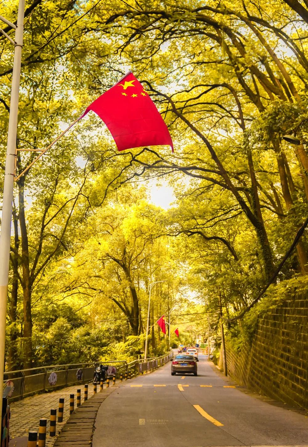 祝贺！西南医科大学获批成为博士学位授予单位-15.jpg