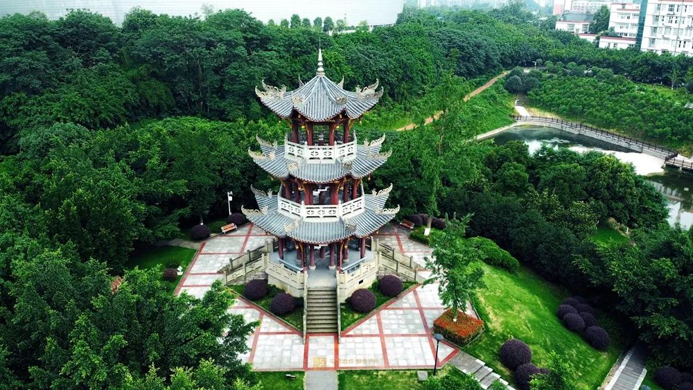 祝贺！西南医科大学获批成为博士学位授予单位-14.jpg