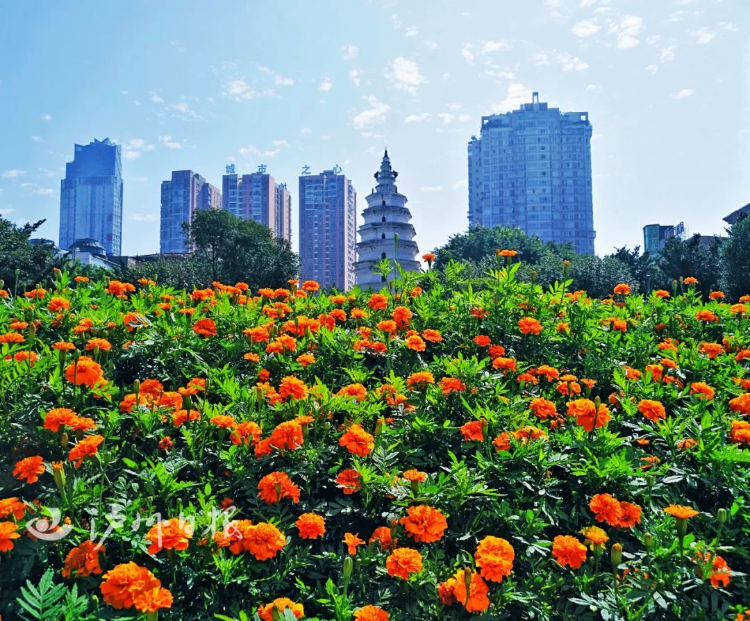 砥砺奋进的五年丨醉美泸州，畅饮文明这杯酒-1.jpg