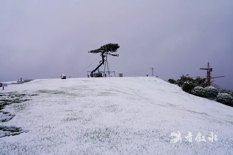 古蔺叙永又下雪了！不用怕冷，带你“云赏”高山雪景-16.jpg