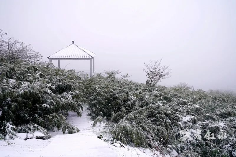 古蔺叙永又下雪了！不用怕冷，带你“云赏”高山雪景-19.jpg
