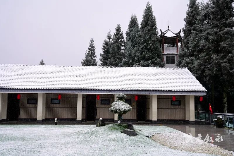 古蔺叙永又下雪了！不用怕冷，带你“云赏”高山雪景-21.jpg