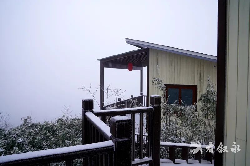 古蔺叙永又下雪了！不用怕冷，带你“云赏”高山雪景-22.jpg