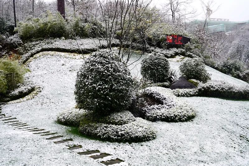 古蔺叙永又下雪了！不用怕冷，带你“云赏”高山雪景-24.jpg