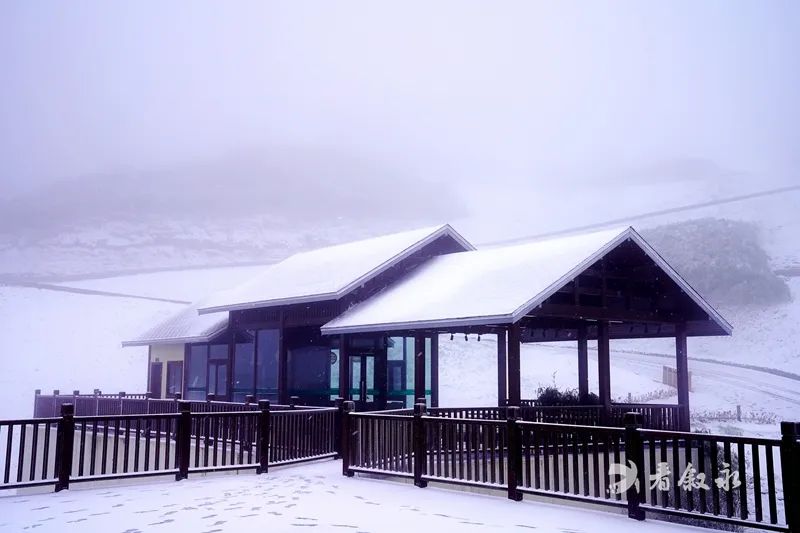古蔺叙永又下雪了！不用怕冷，带你“云赏”高山雪景-25.jpg