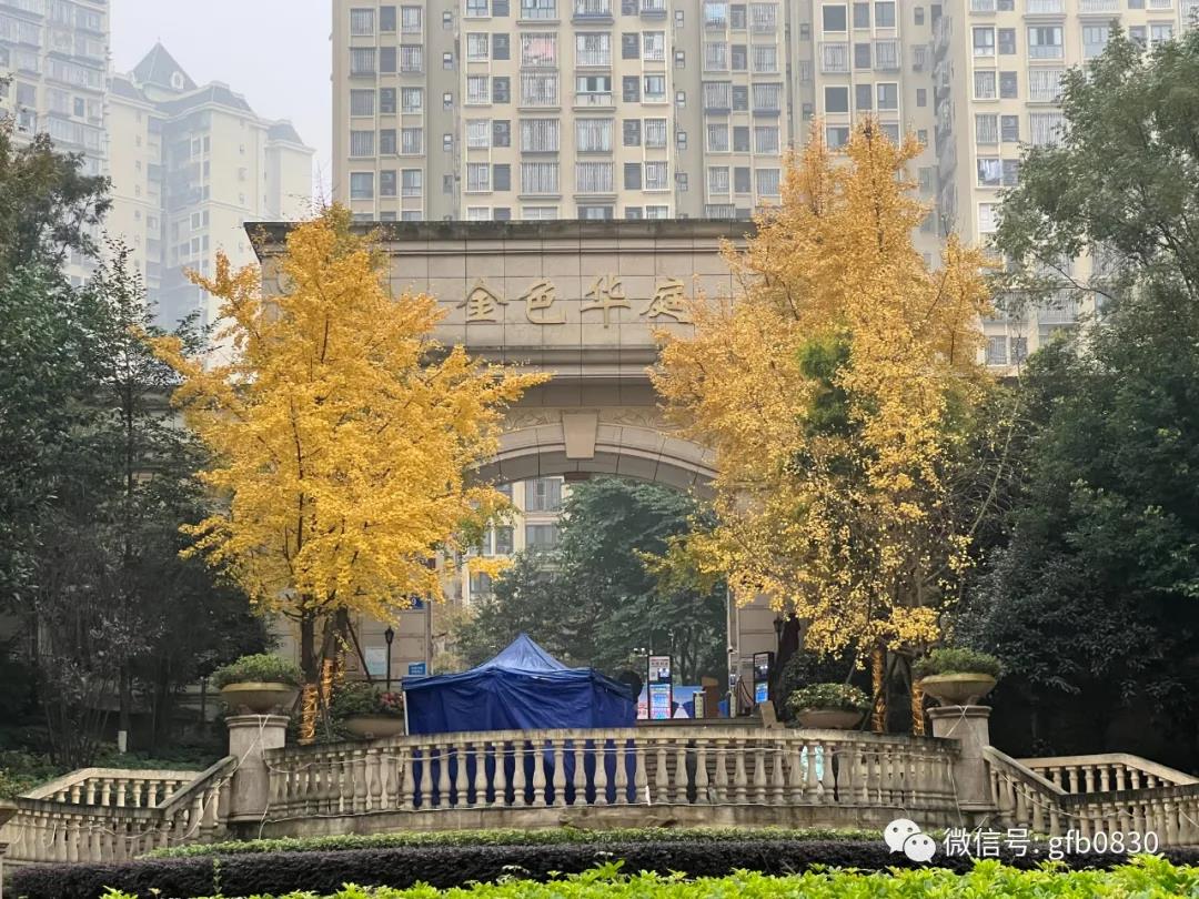 泸州的洋小区都改名了，这事儿你怎么看？-3.jpg