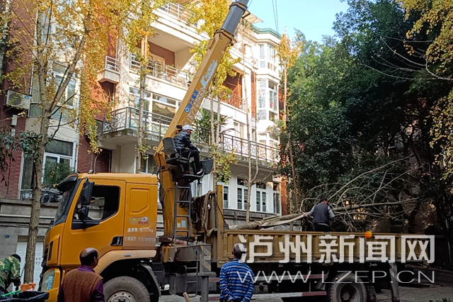 后续！市民私自砍伐小区绿化树，当事人已及时进行了补栽-1.jpg