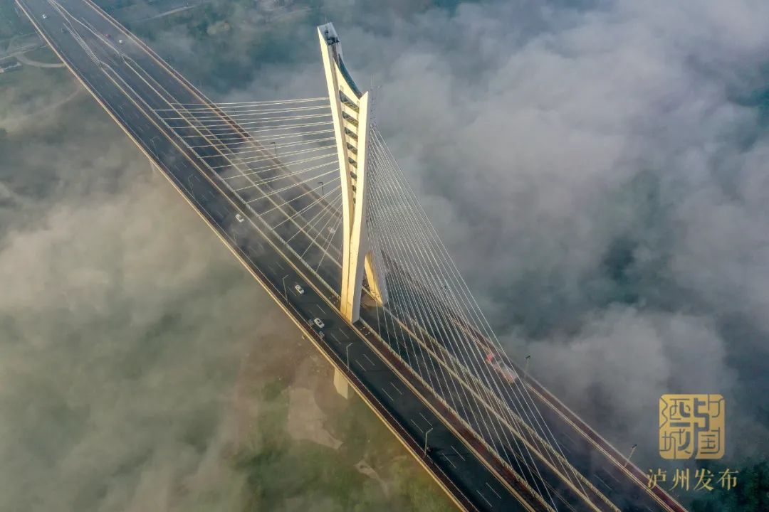 666！泸州沱江六桥获国家级大奖，长江六桥建设也有新进展-2.jpg
