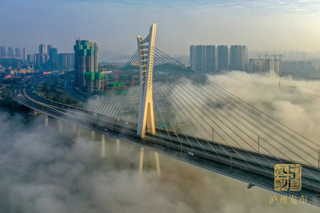 666！泸州沱江六桥获国家级大奖，长江六桥建设也有新进展-1.jpg