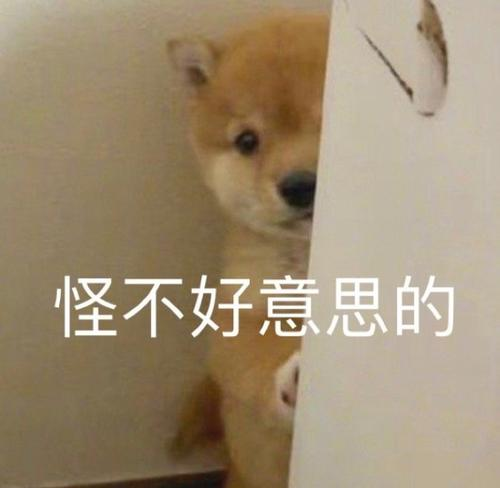 “姐，现在行情大涨，我们抓住这波走势大赚一笔！”-9.png