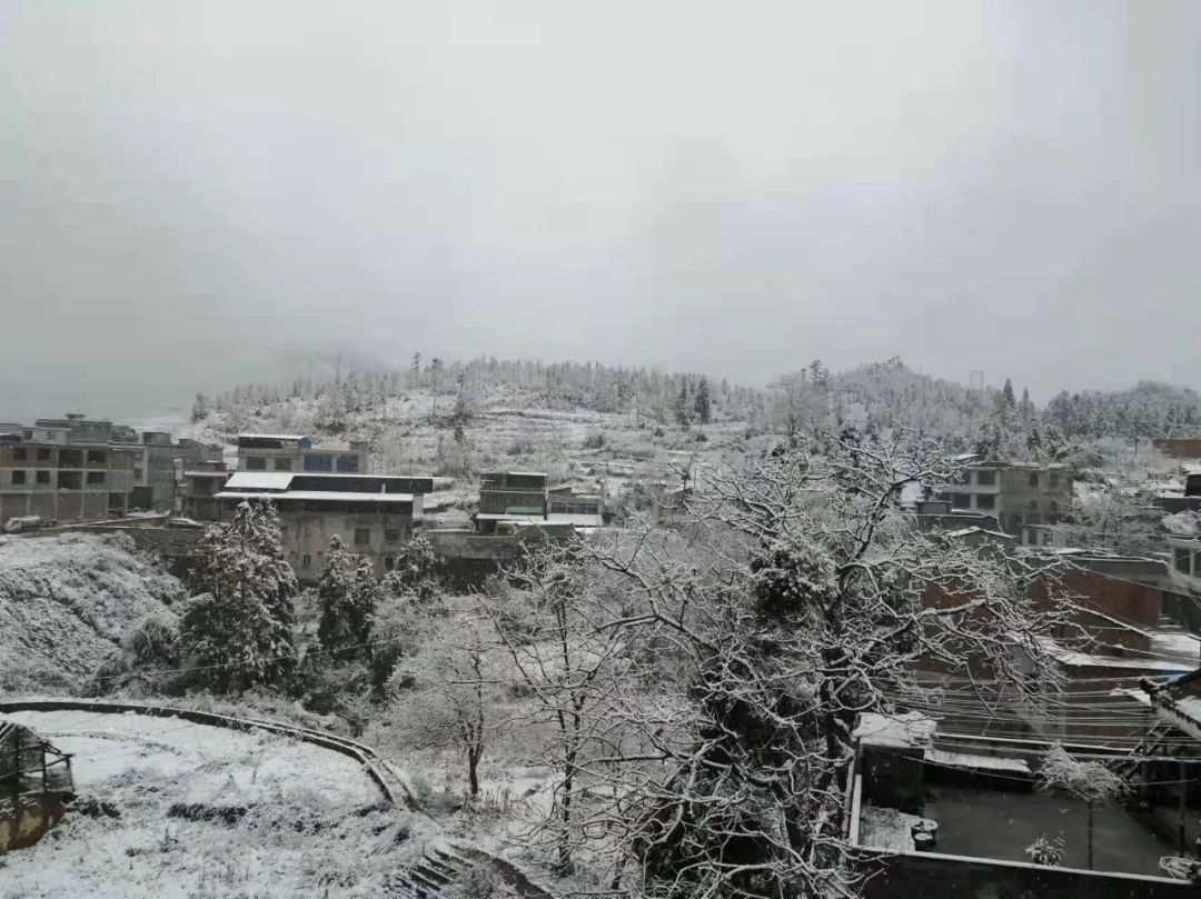 快看！泸州下雪了……-2.jpg