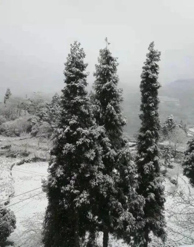 快看！泸州下雪了……-3.jpg