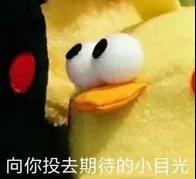 冲上14℃！泸州元旦节好天气闪亮登场！-1.jpg