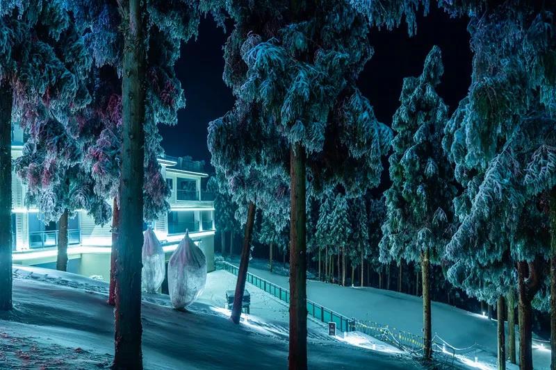 你见过白雪皑皑的泸州之巅，但是你有见过暗夜星空的罗...-1.jpg