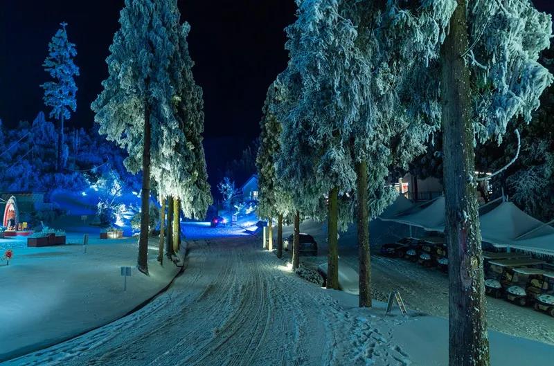 你见过白雪皑皑的泸州之巅，但是你有见过暗夜星空的罗...-2.jpg
