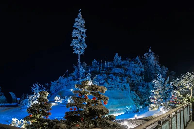 你见过白雪皑皑的泸州之巅，但是你有见过暗夜星空的罗...-4.jpg